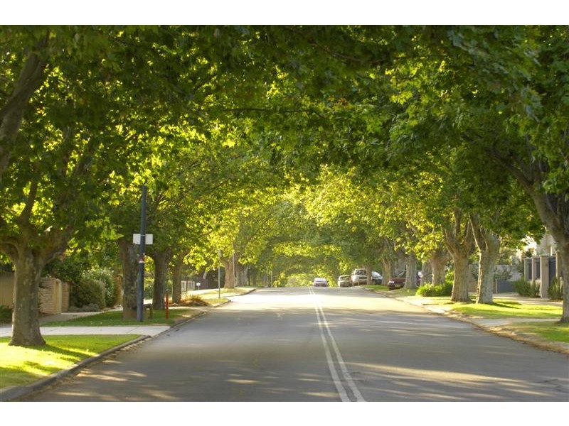 2/47 Macleod Road, Applecross WA 6153