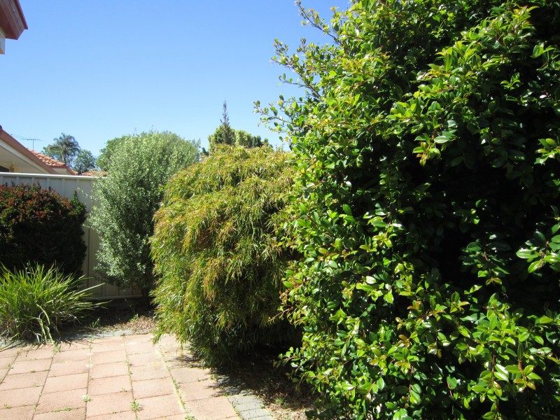 65G Alness Street, Ardross WA 6153