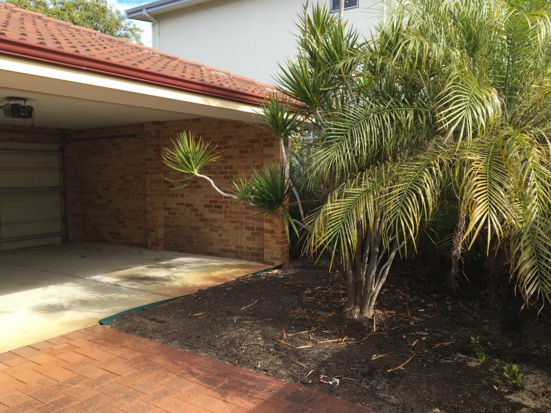 28 Canavan Crescent, Manning WA 6152