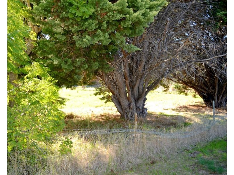 116 Astley Street, Gosnells WA 6110