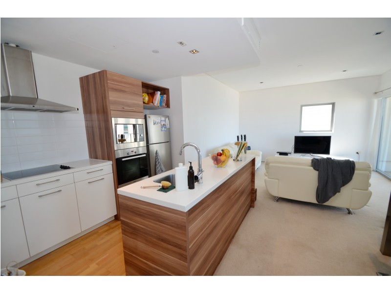 1004/237 Adelaide Terrace, Perth WA 6000