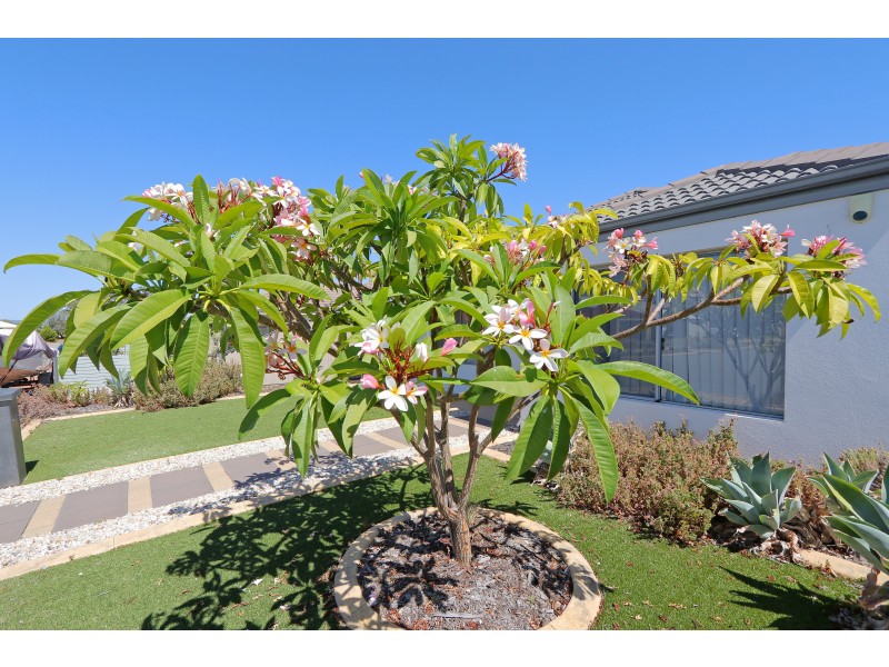 14 Padua Road, Piara Waters WA 6112