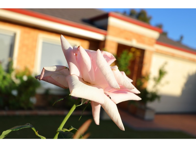 2 Hewitt Link, Harrisdale WA 6112