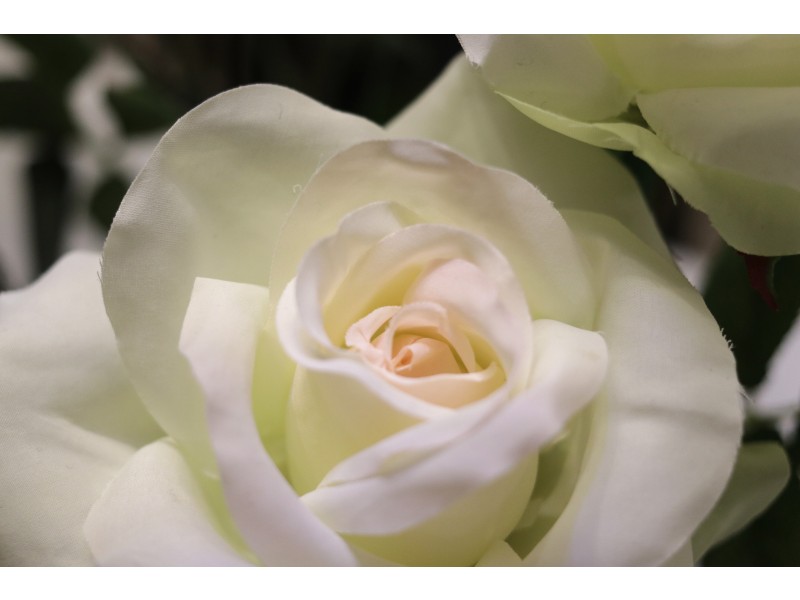 102 Riva Entrance, Piara Waters WA 6112