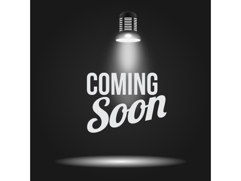 28 Northfield Crescent, Canning Vale WA 6155