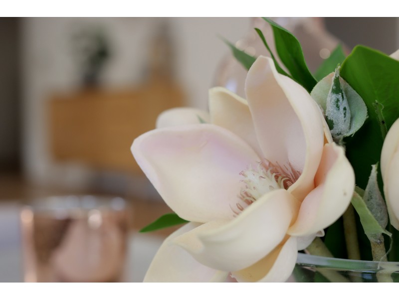 21 Boranup Rise, Piara Waters WA 6112