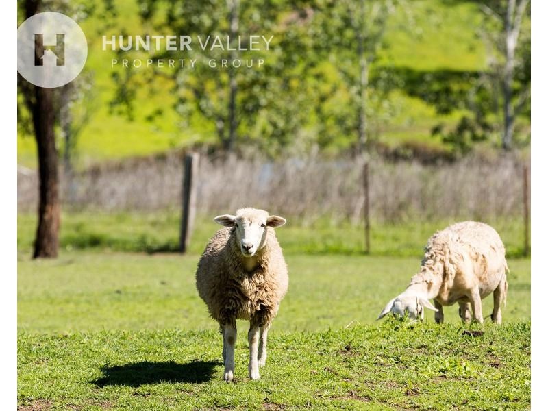 15 View St, Vacy NSW 2421