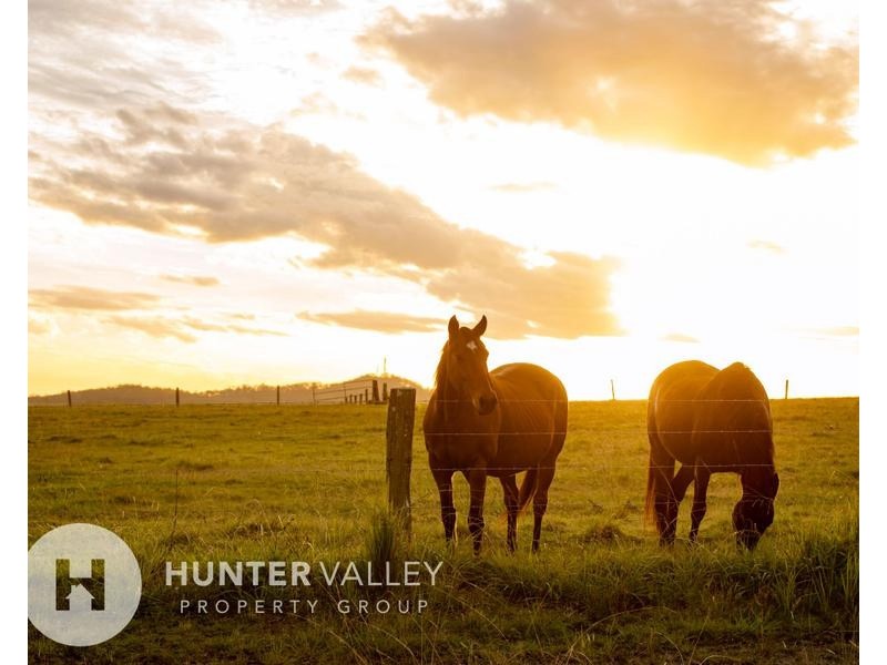 184 Melville Ford Road, Melville NSW 2320