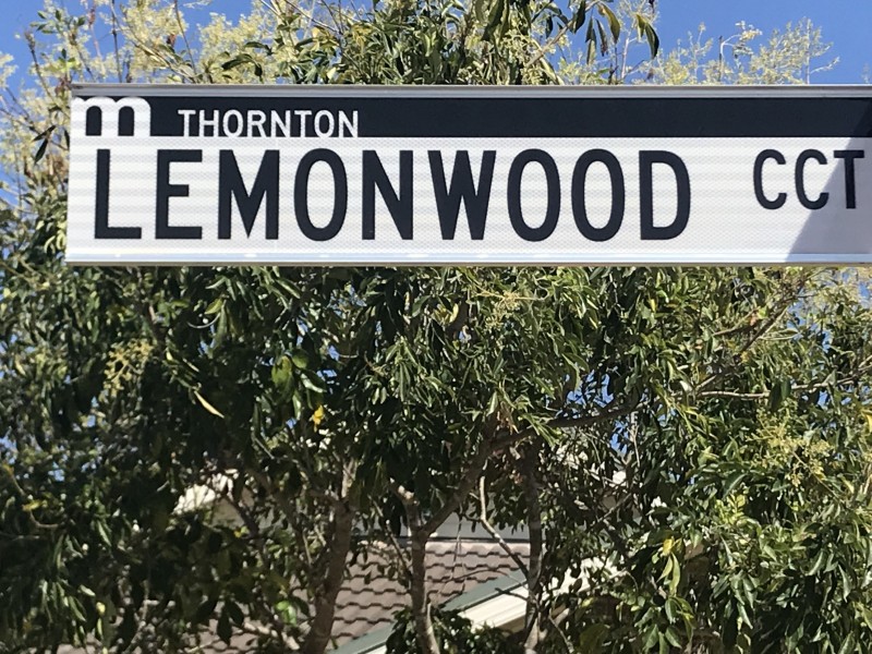 51 Lemonwood Cct, Thornton NSW 2322