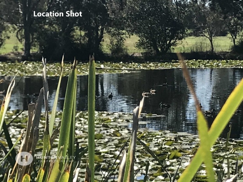 51 Lemonwood Cct, Thornton NSW 2322