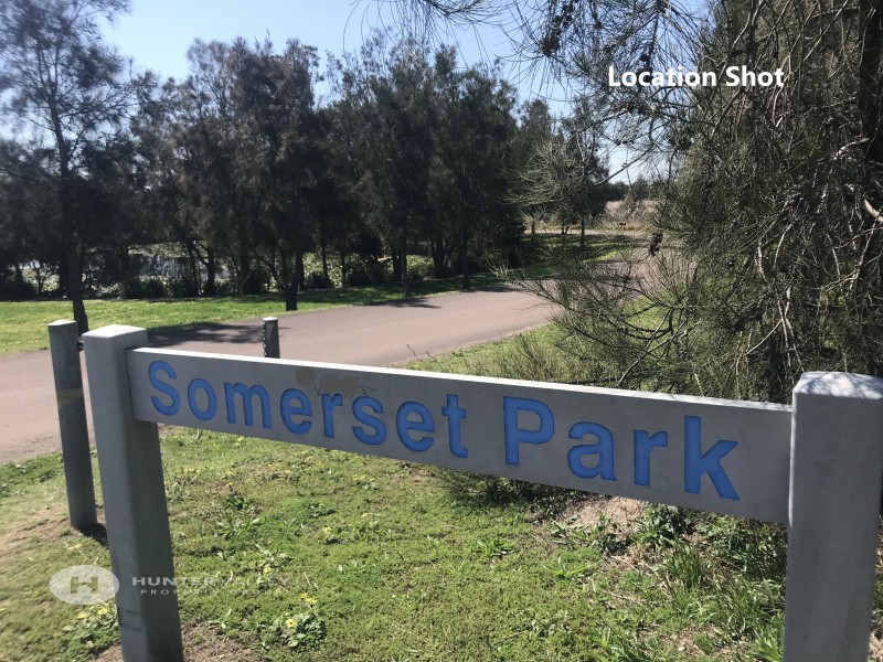 51 Lemonwood Cct, Thornton NSW 2322