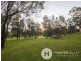 56 RIVERVIEW ROAD, Bolwarra Heights NSW 2320