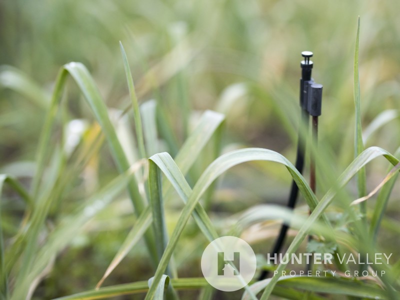 5 Ribbonwood Close, Largs NSW 2320