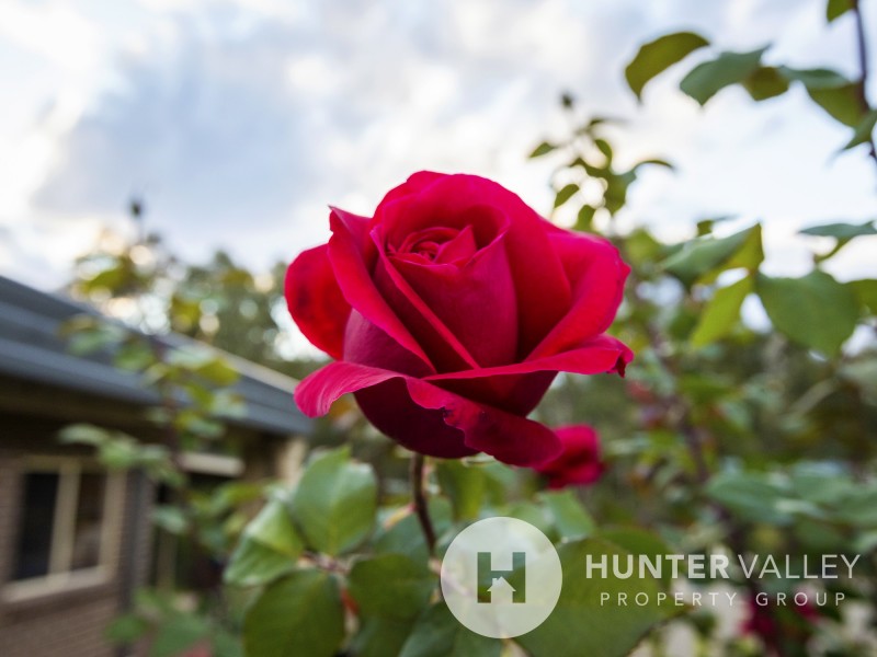 6 CARELLEN CLOSE, Bolwarra Heights NSW 2320