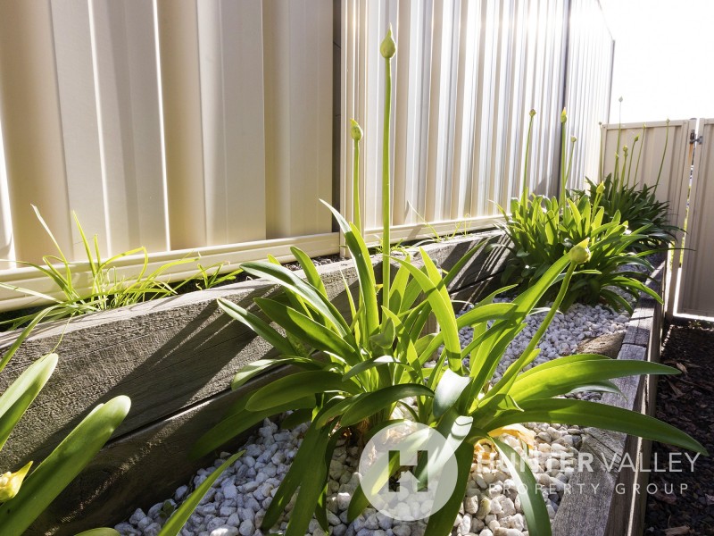 1 /24 Carnarvon Circuit, East Maitland NSW 2323