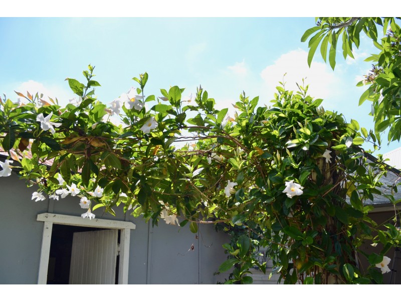 26 BOURKE STREET, Maitland NSW 2320