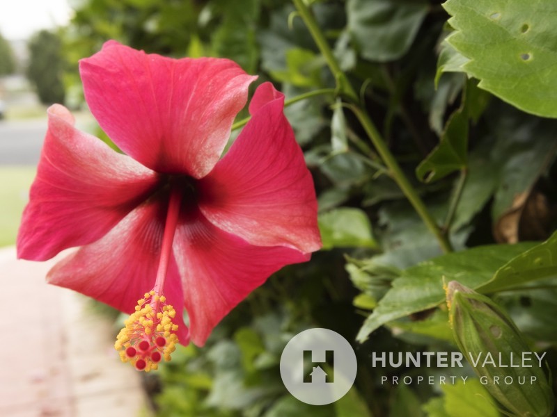 6 Tralee Close, Ashtonfield NSW 2323