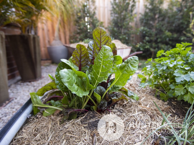 112 High Street, Morpeth NSW 2321