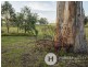 Maitland Vale NSW 2320