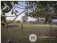Maitland Vale NSW 2320