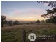 Maitland Vale NSW 2320