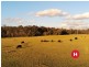180 Wallarobba-Brookfield Road, Brookfield NSW 2420