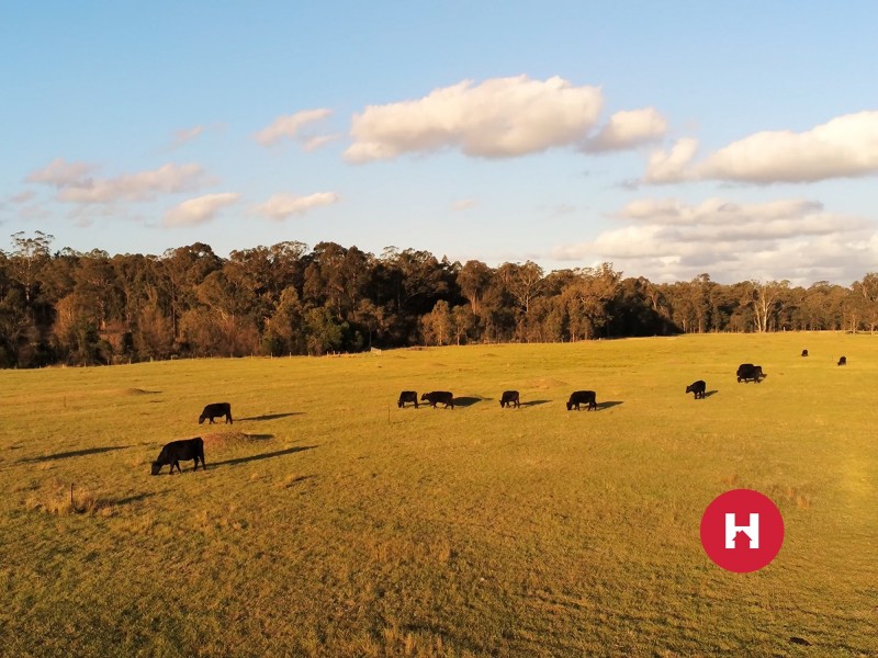 180 Wallarobba-Brookfield Road, Brookfield NSW 2420