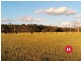 180 Wallarobba-Brookfield Road, Brookfield NSW 2420