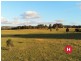 180 Wallarobba-Brookfield Road, Brookfield NSW 2420