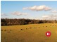 180 Wallarobba-Brookfield Road, Brookfield NSW 2420