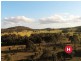 180 Wallarobba-Brookfield Road, Brookfield NSW 2420