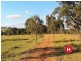 180 Wallarobba-Brookfield Road, Brookfield NSW 2420