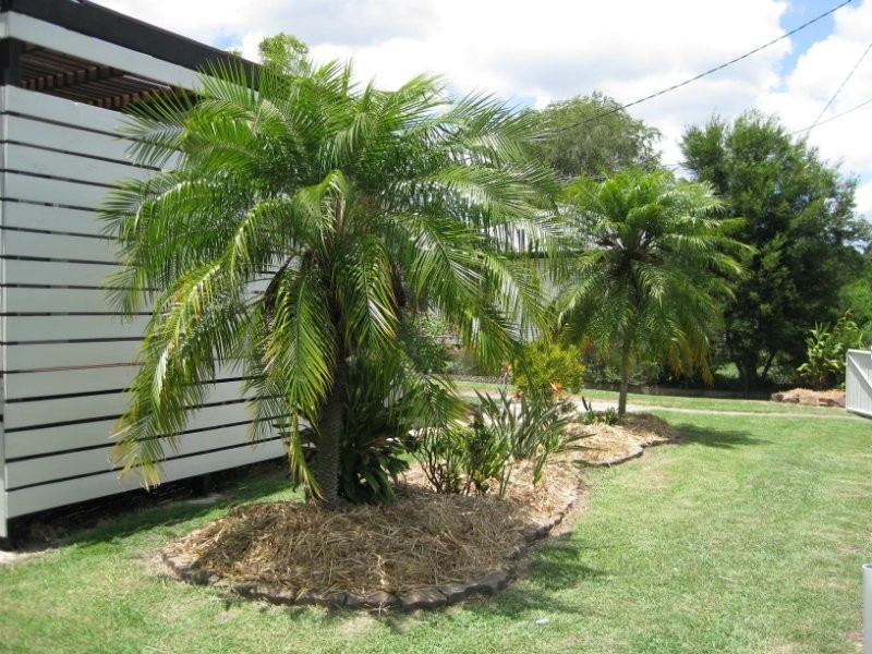 156 Whitehill Road, Raceview QLD 4305