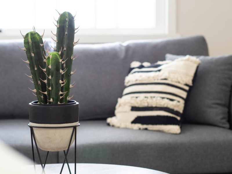 64 Whitehill Road, Eastern Heights QLD 4305