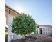 183 WHITEHILL ROAD, Raceview QLD 4305