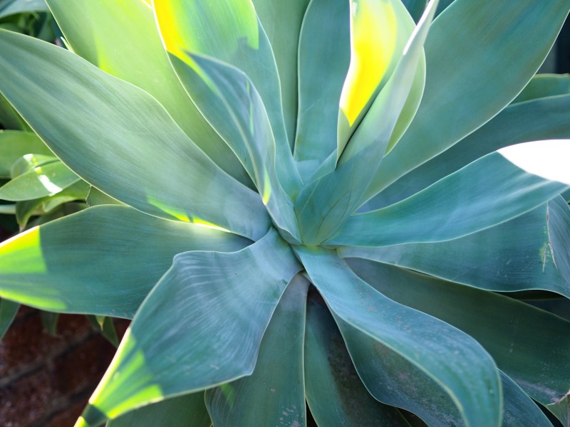 9 RANCH STREET, Brassall QLD 4305