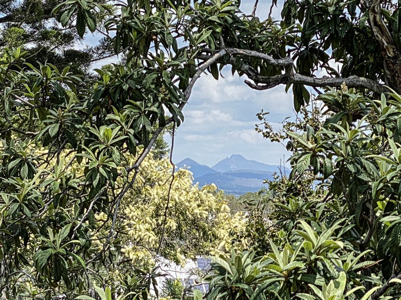 23 ROWLAND TERRACE, Coalfalls QLD 4305