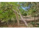 13 CYPRUS STREET, Tivoli QLD 4305