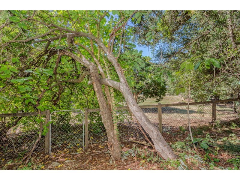13 CYPRUS STREET, Tivoli QLD 4305