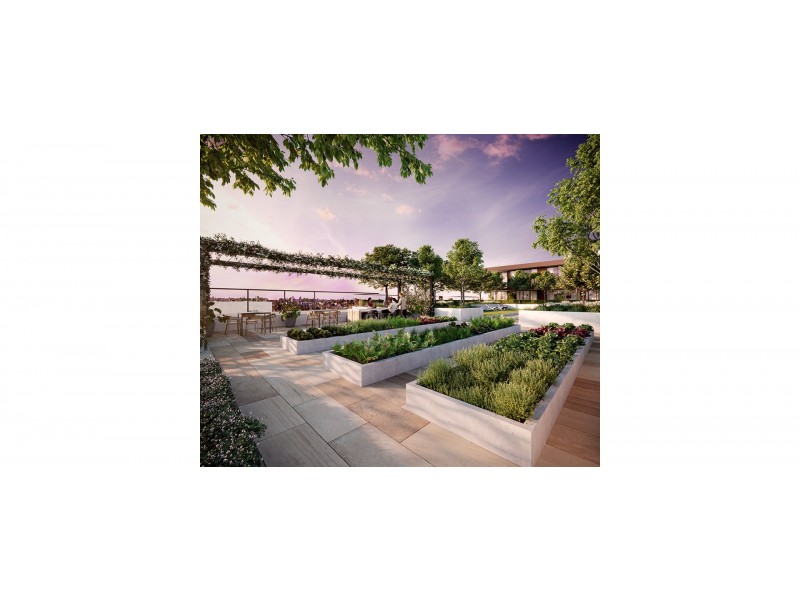 8  Studio Dr, Eastgardens NSW 2036