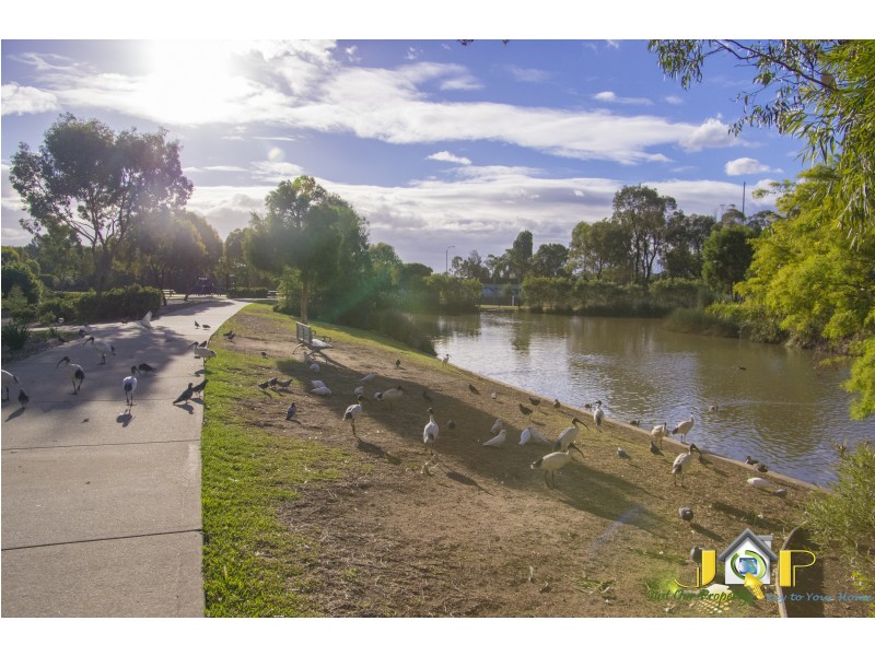 234/5 Vermont St, Riverwood NSW 2210