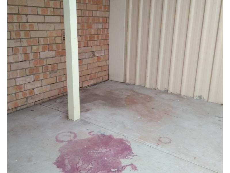 2/120 Cahors Road, Padstow NSW 2211