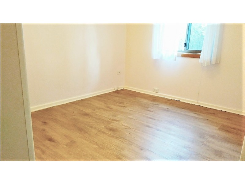 31 Astley Avenue, Padstow NSW 2211