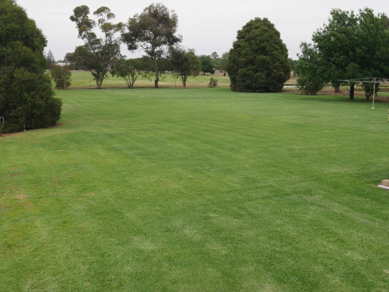 82 Almond Road, Leeton NSW 2705