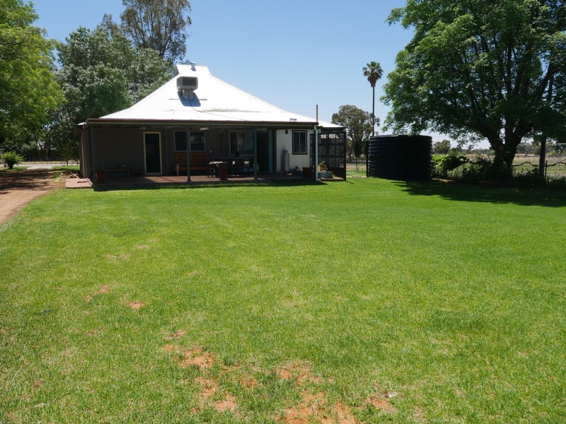 79 Grigg Rd.,, Leeton NSW 2705