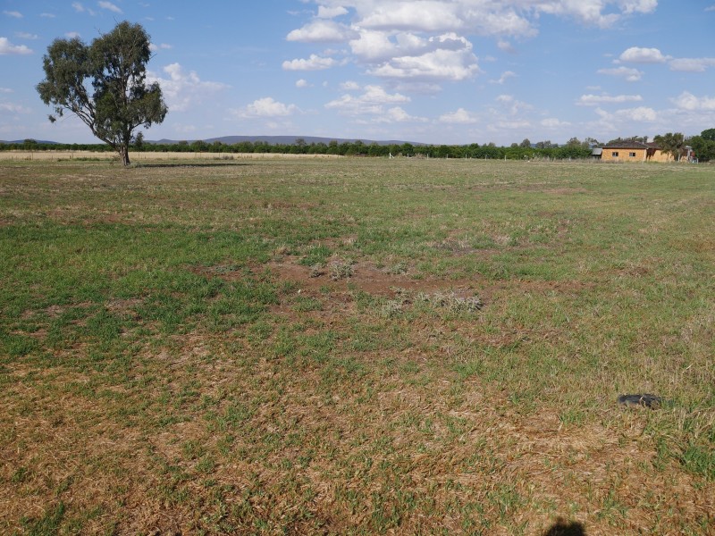 123 Fivebough Road, Leeton NSW 2705