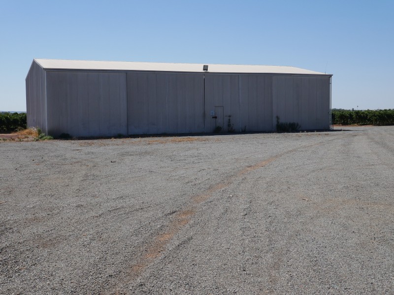 46 Dooley Road, Leeton NSW 2705