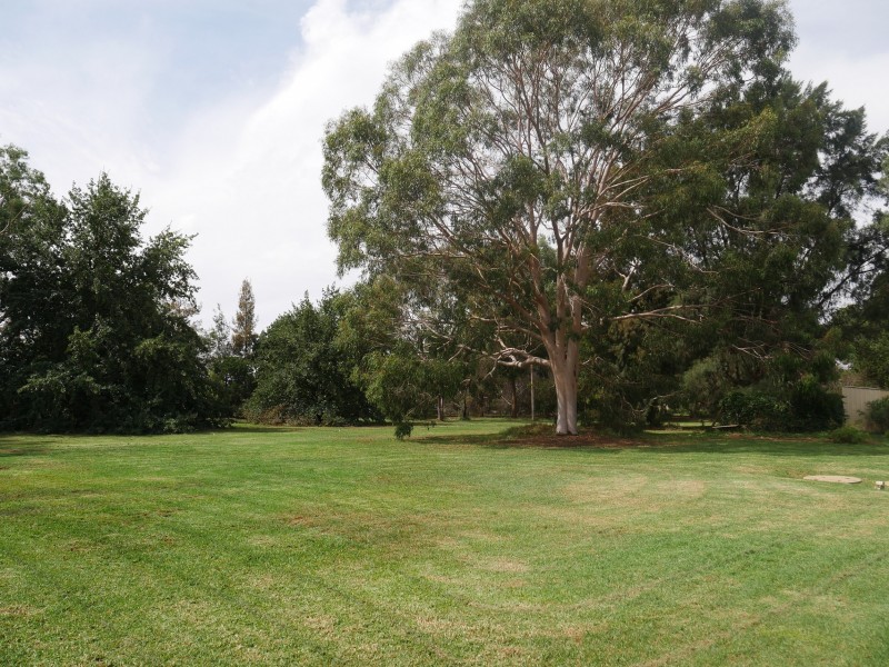 40 Yeo Road, Leeton NSW 2705