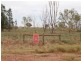 Lot 161, 323 Koonadan Rd.,, Leeton NSW 2705