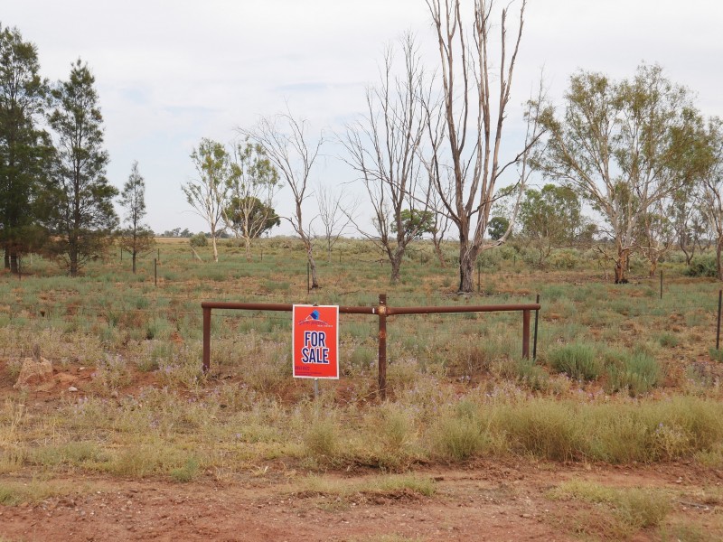 Lot 161, 323 Koonadan Rd.,, Leeton NSW 2705